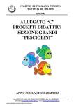 programmazione grandi